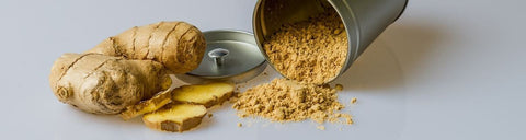 GINGER - Candies, gummies and Chocolate