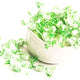 Lietta Light Balsamic Mint Candy - 1kg pack FARBO